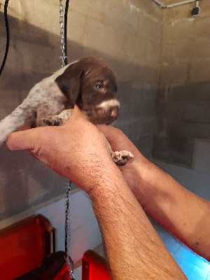 A..................... du clos bailleaulais